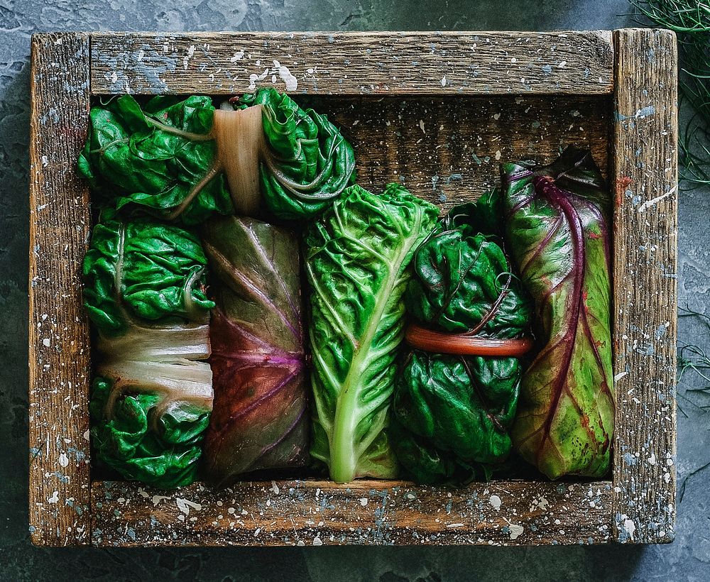 Plant-based green wrap with purple collard kale, cabbage, and chard with turmeric  sauce