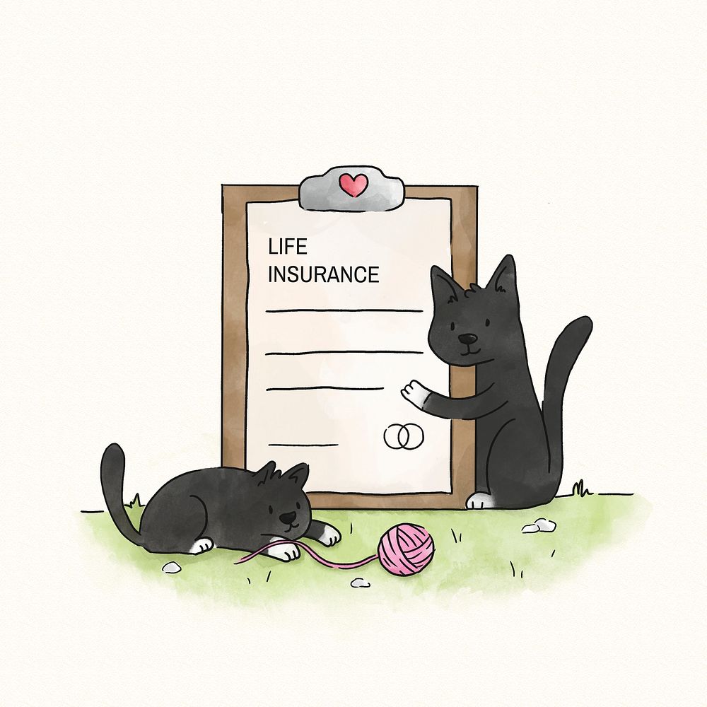 Cats with a life insurance