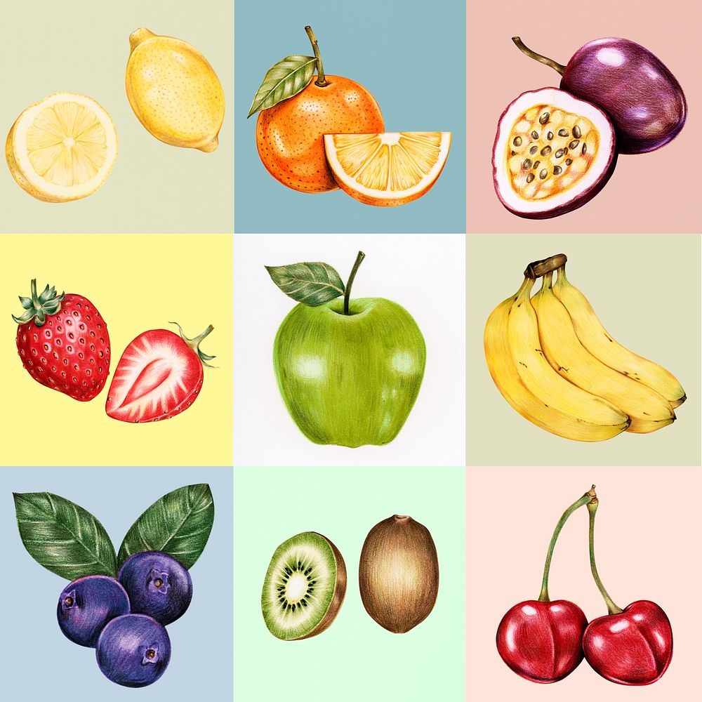 Hand drawn fruits set illustration