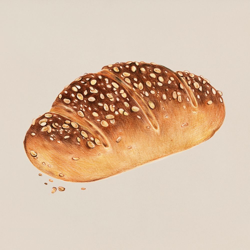 Freshly baked multigrain bread hand-drawn illustration