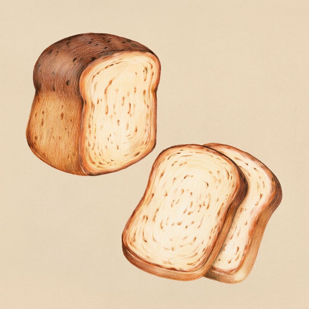 Freshly baked bread hand-drawn illustration