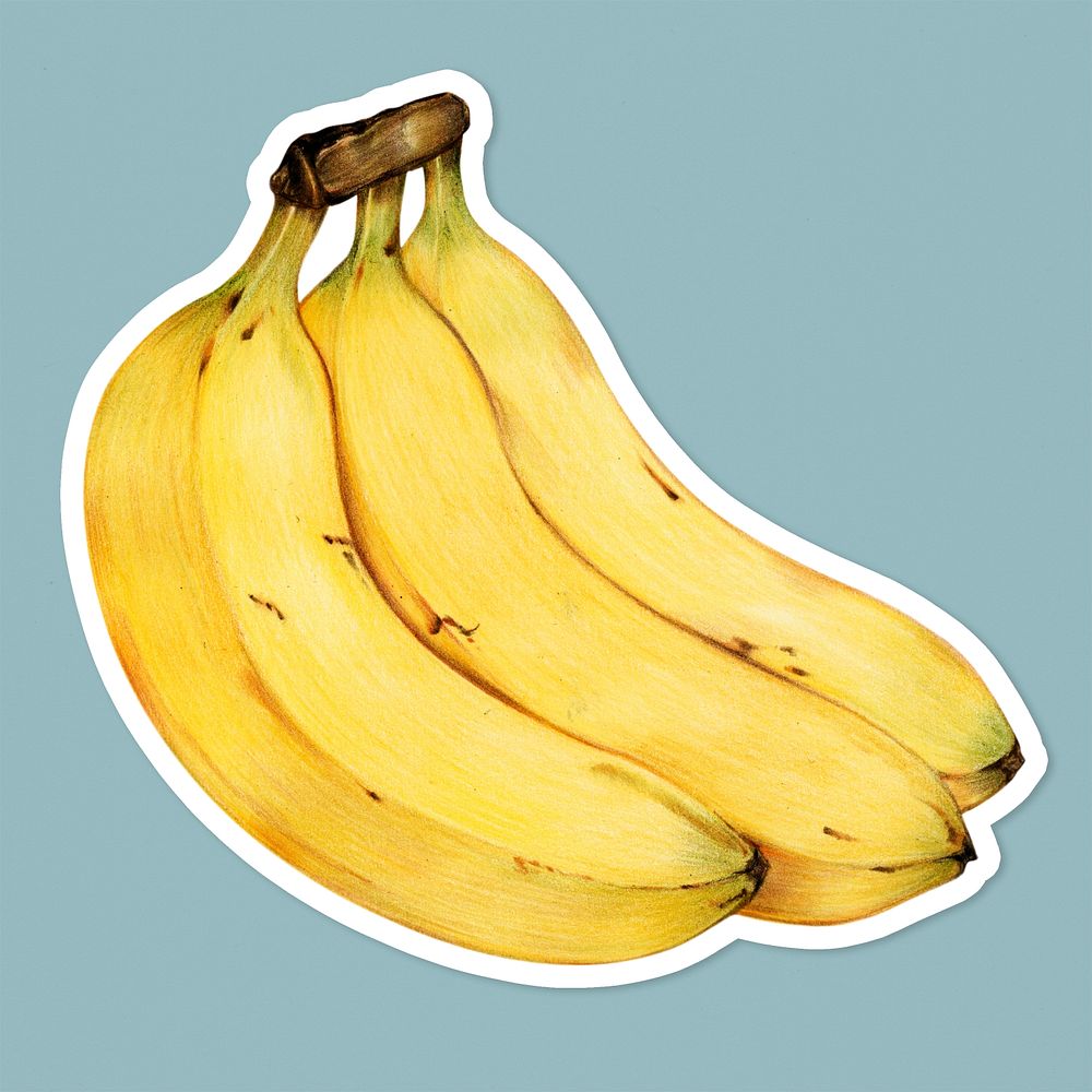 Fresh banana illustration psd food drawing
