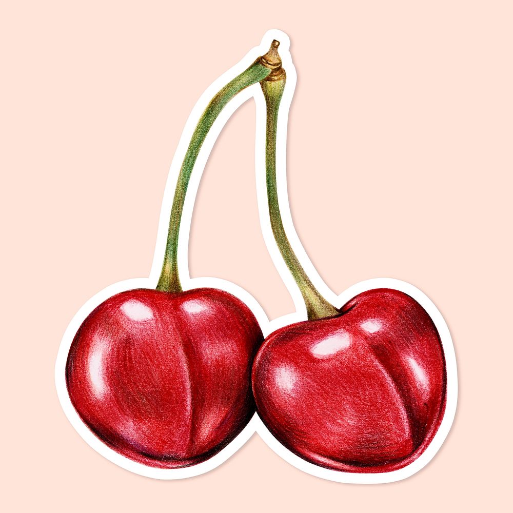 Cherries fruit psd illustration organic food