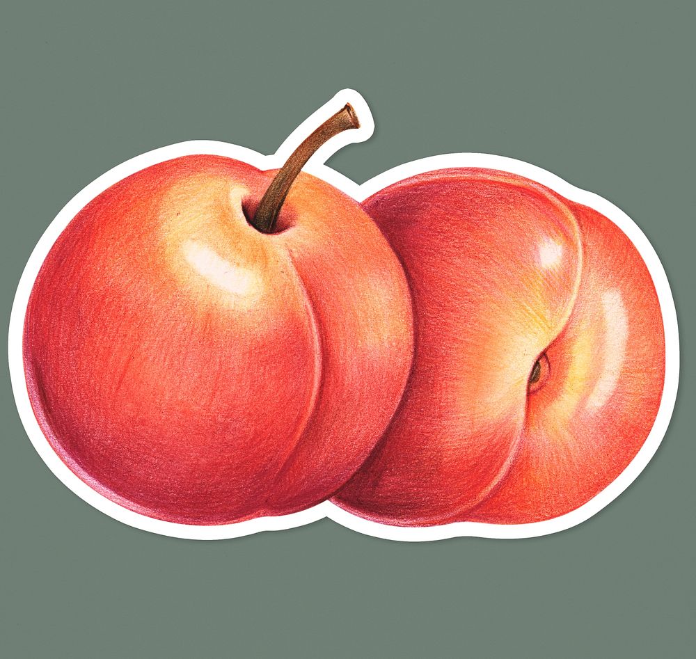 Peaches fruit illustration psd tropical fruit sticker