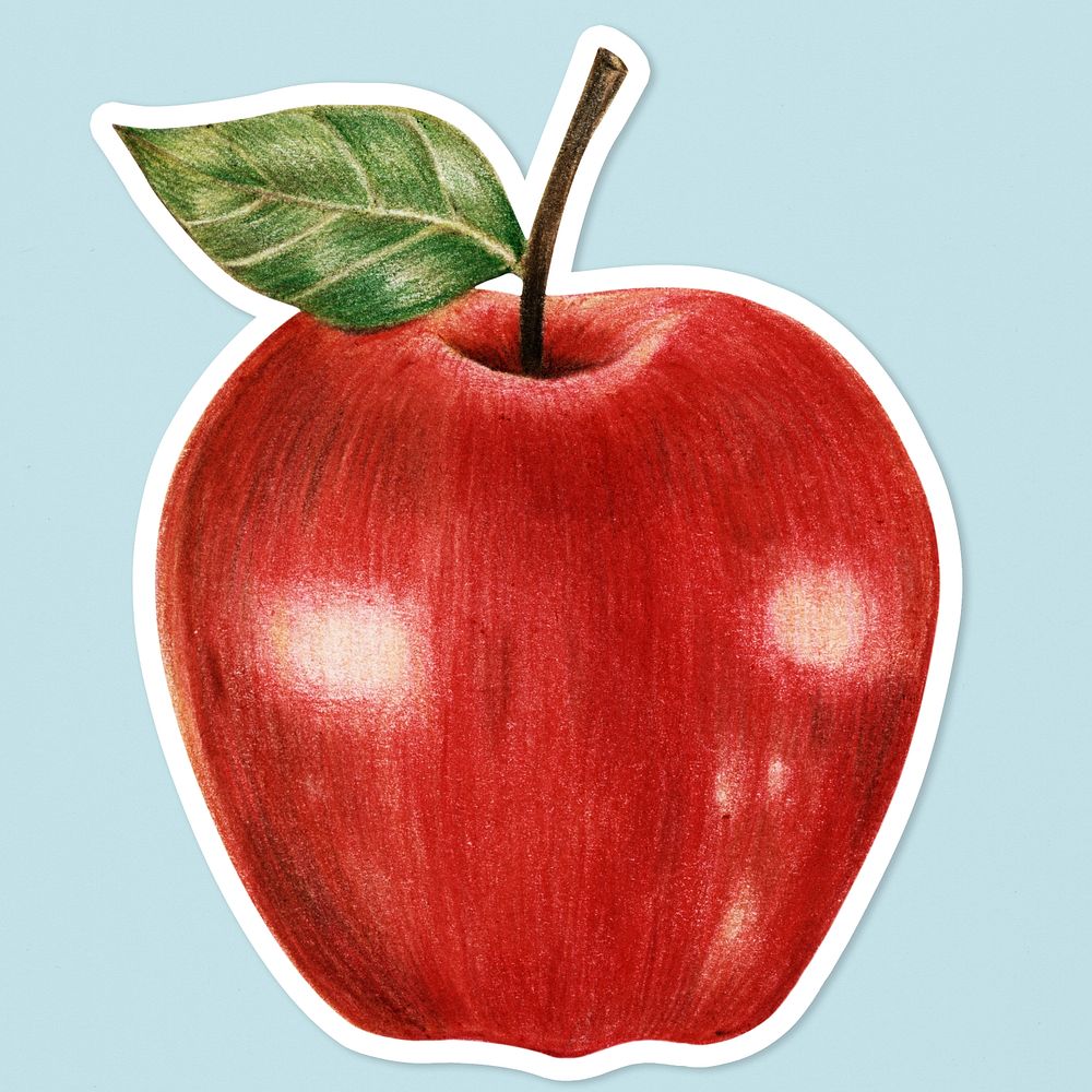 Apple fruit illustration psd summer fruit sticker
