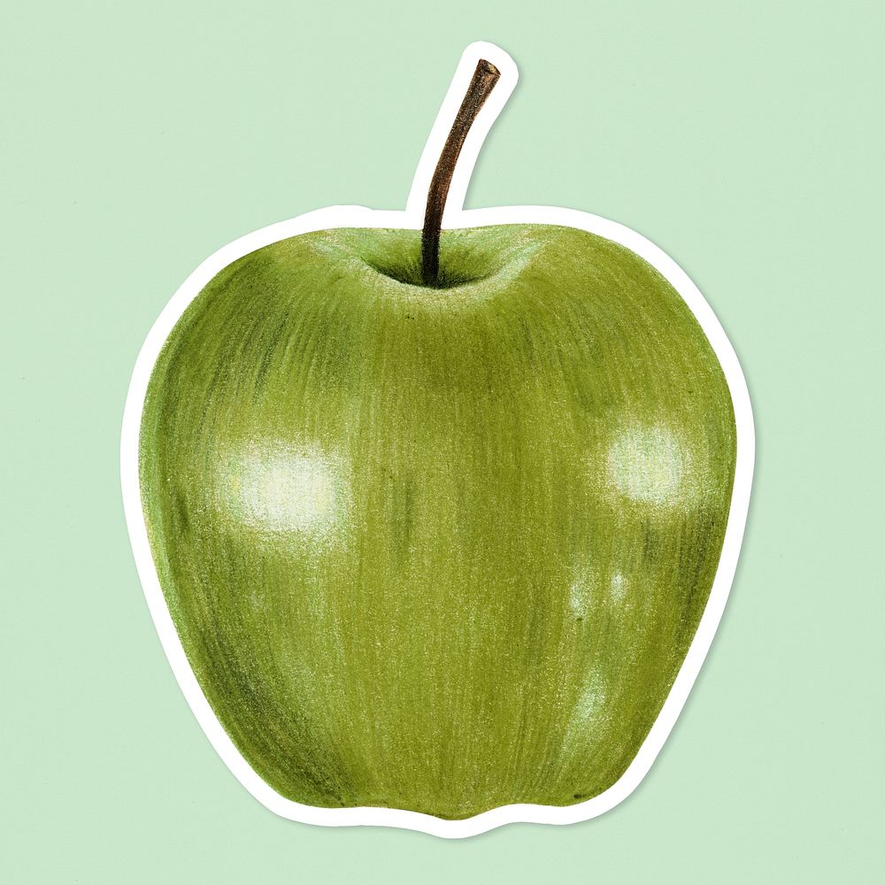 Summer fruit psd apple illustration hand drawn