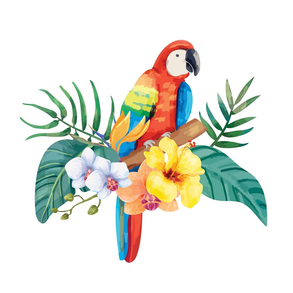 Hand drawn parrot with tropical flowers