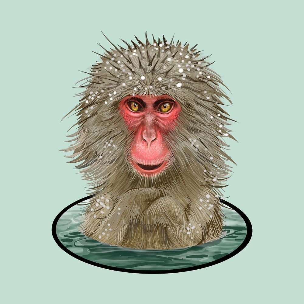 Japanese macaques in an Onsen illustration