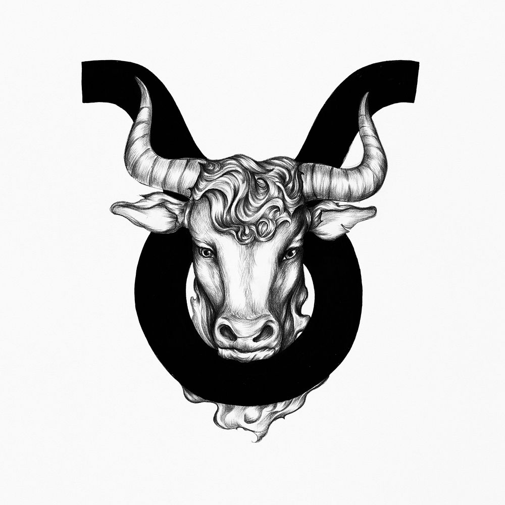 Hand drawn horoscope symbol of Taurus illustration