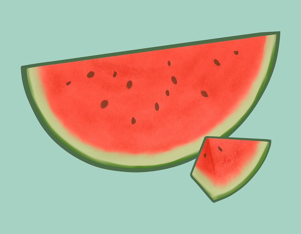 Tropical sliced red watermelon illustration