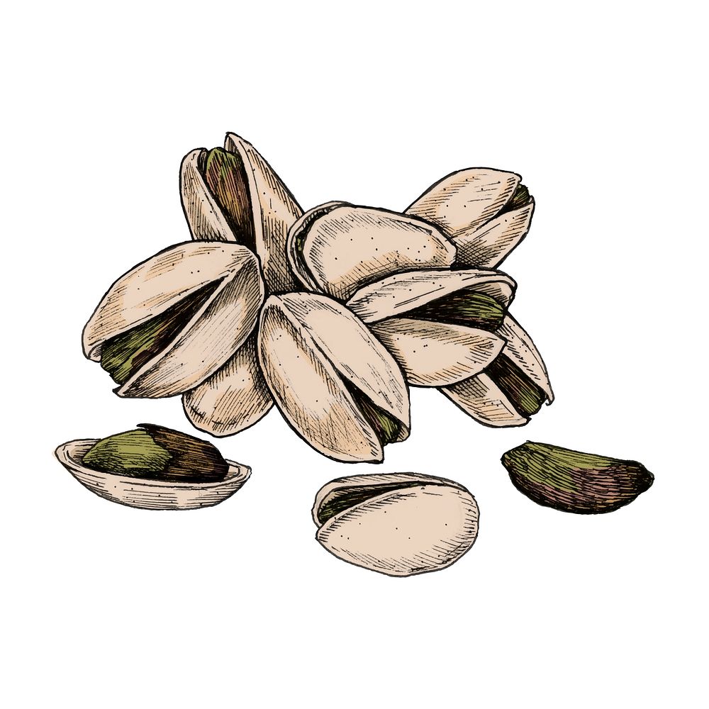 Illustration of a few pistachio nuts