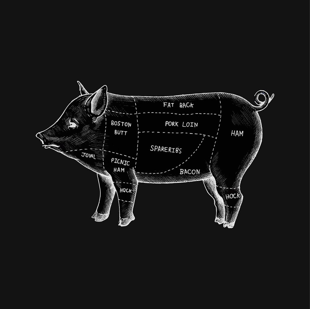Illustration of different parts of pig