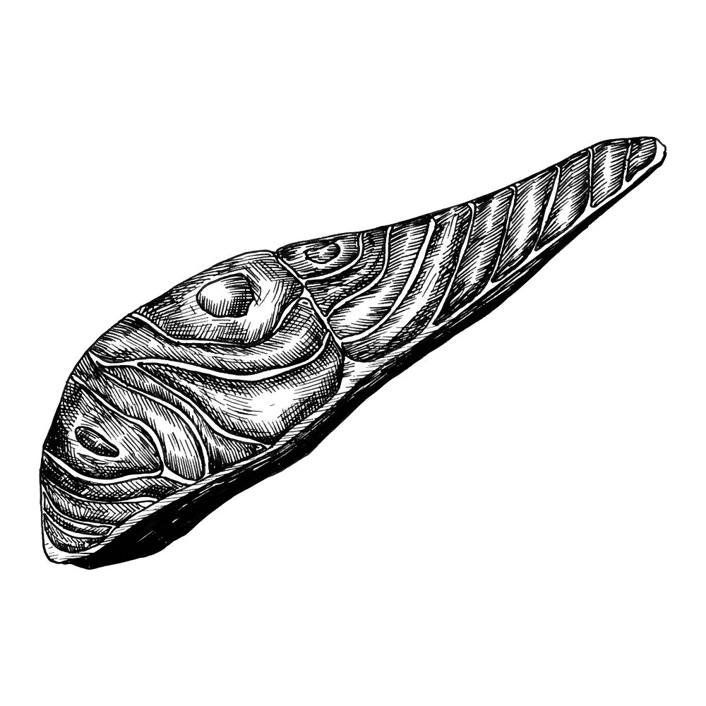 Hand drawn salmon fish fillet