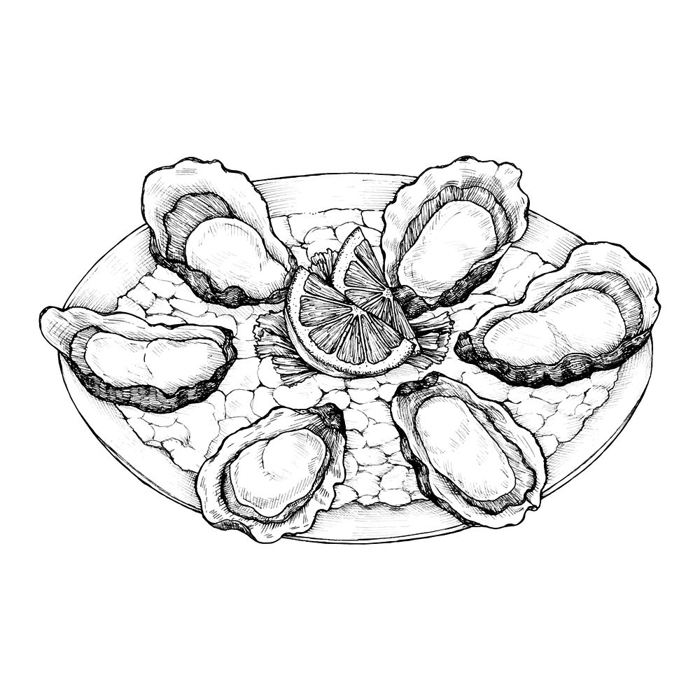 Hand drawn oyster salt-water bivalve platter