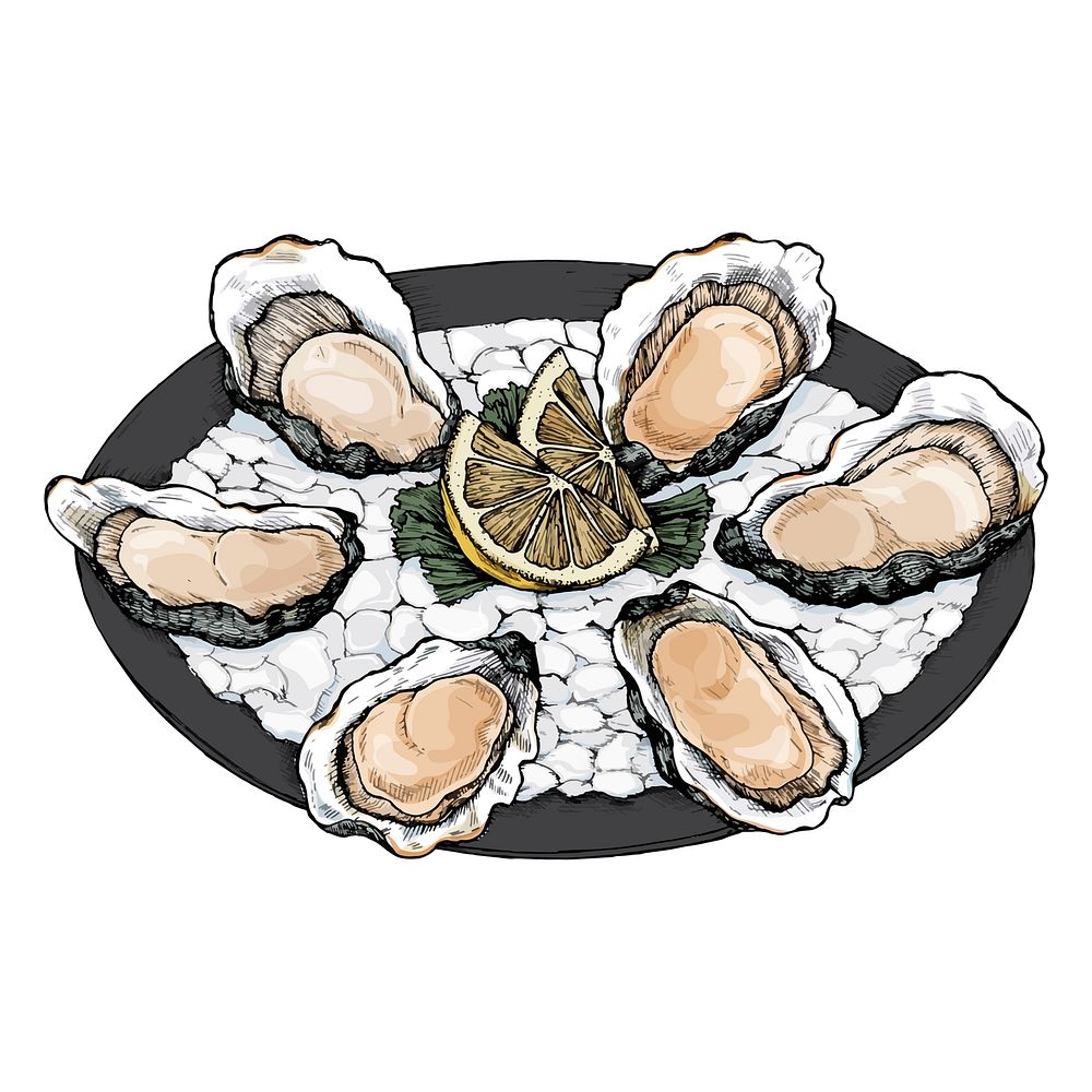 Hand drawn oyster salt-water bivalve platter