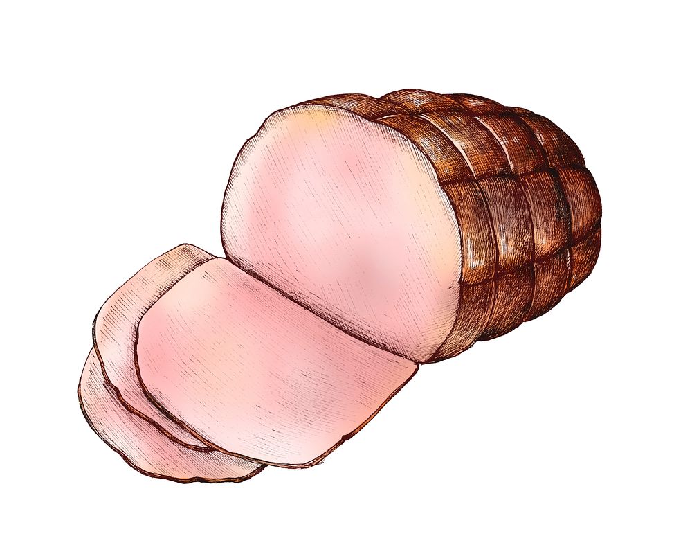 Hand drawn whole ham isolated
