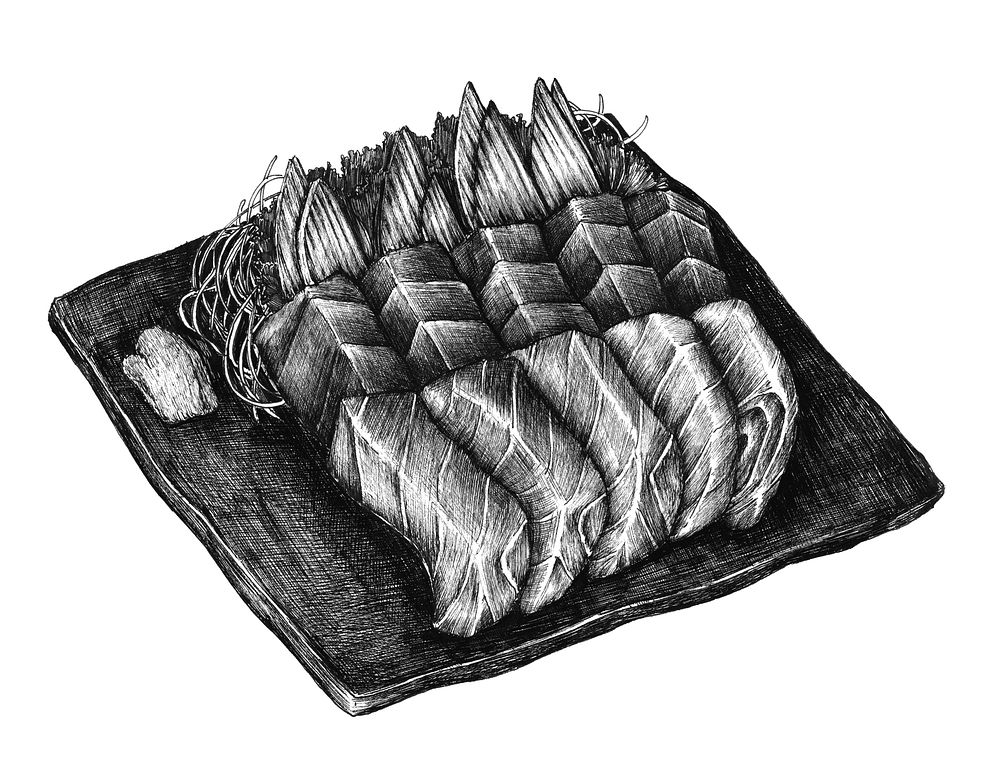 Hand drawn salmon sashimi dish