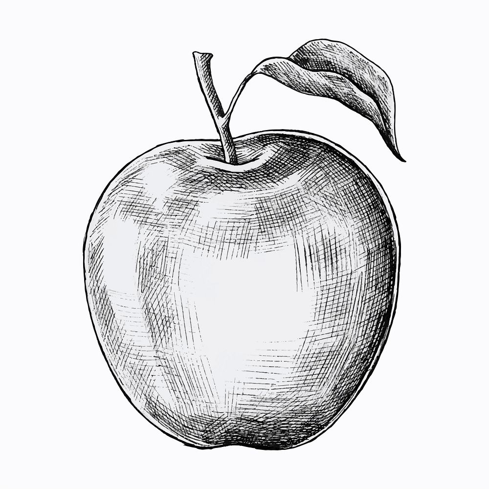 Hand drawn fresh apple vector