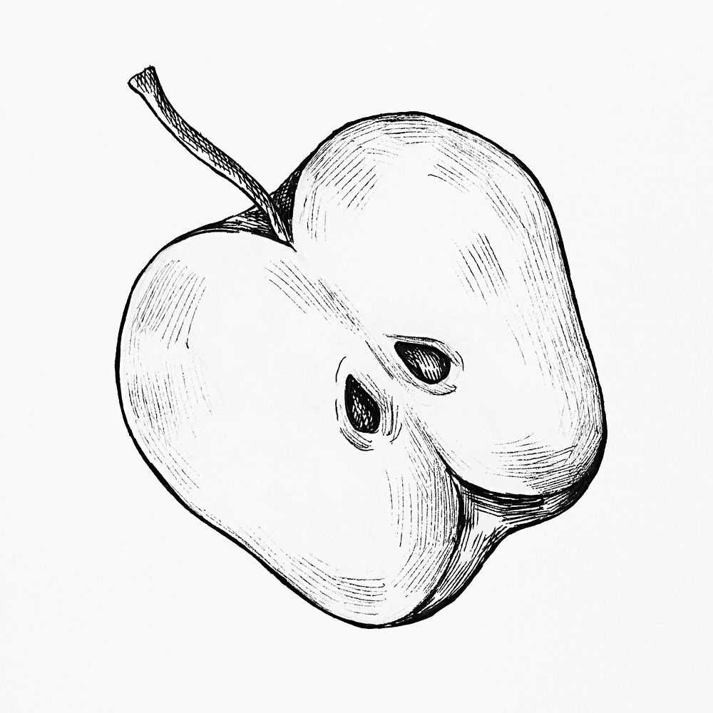 Hand drawn half cut apple