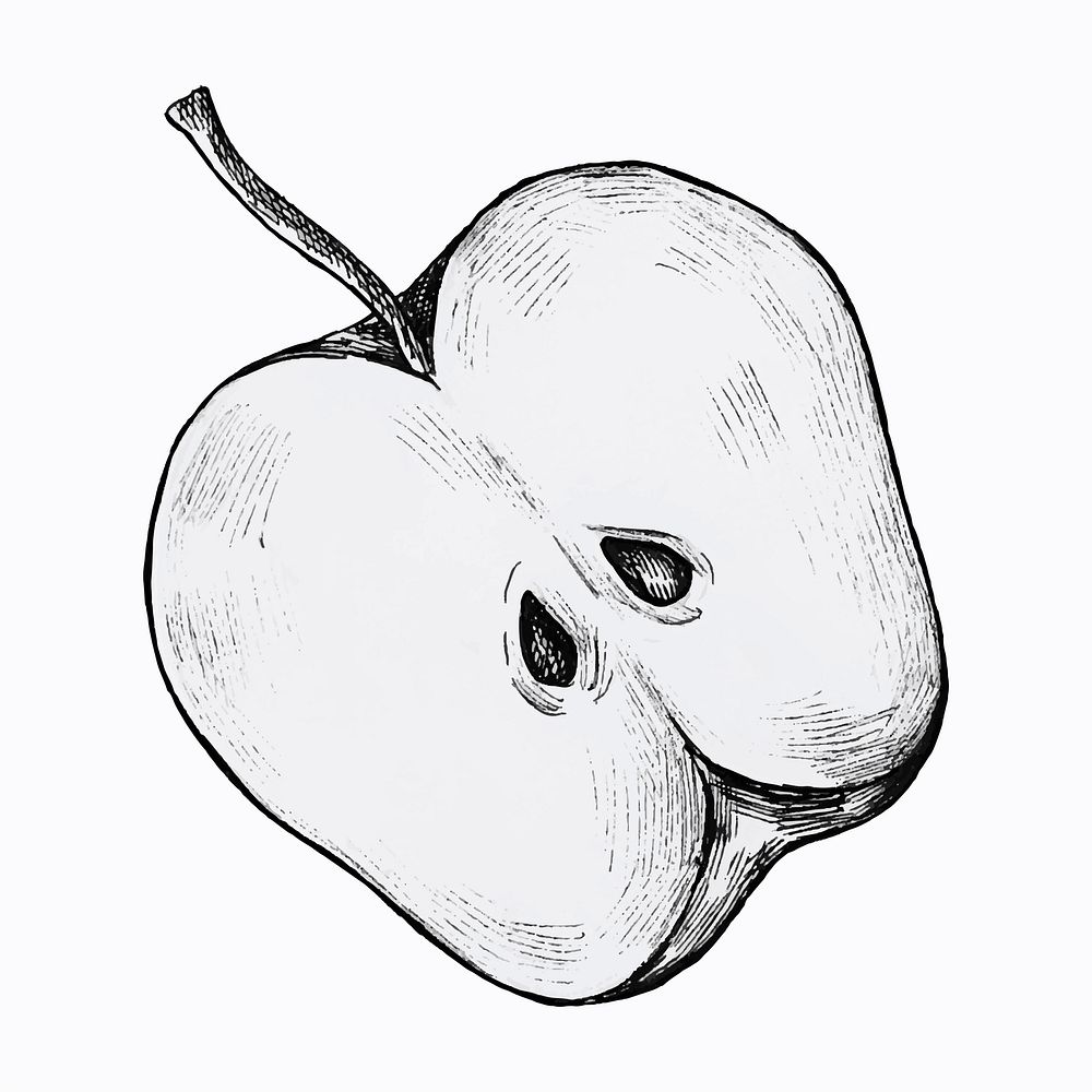 Hand drawn half cut apple vector