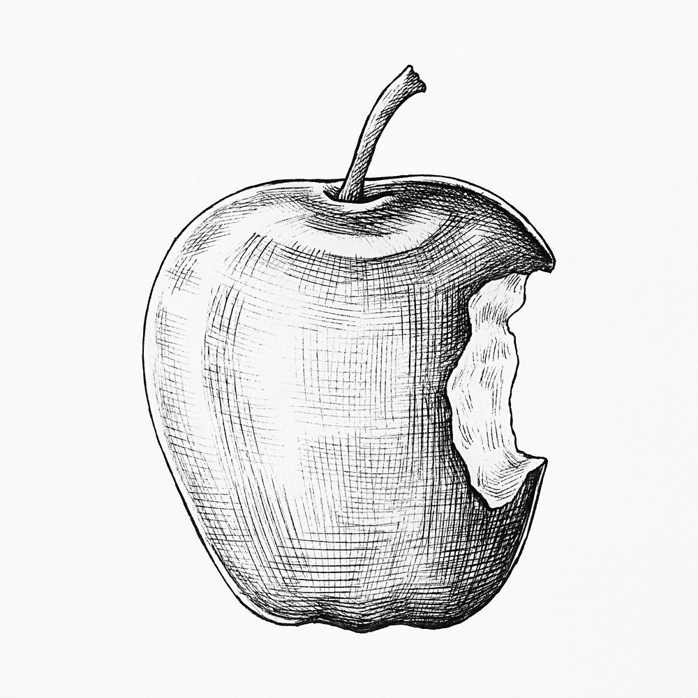 Hand drawn bitten apple fruit