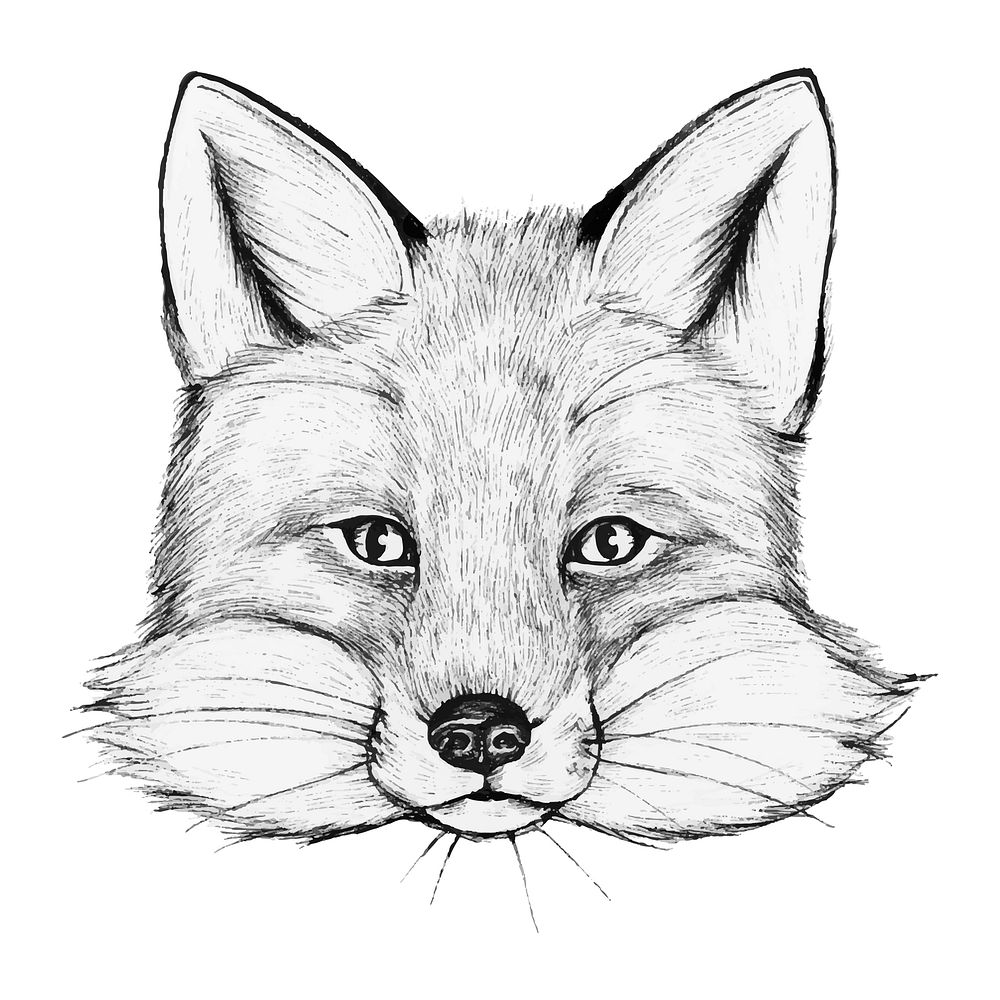 Charming Cartoon Fox Face with Elegant Long Eyelashes | MUSE AI