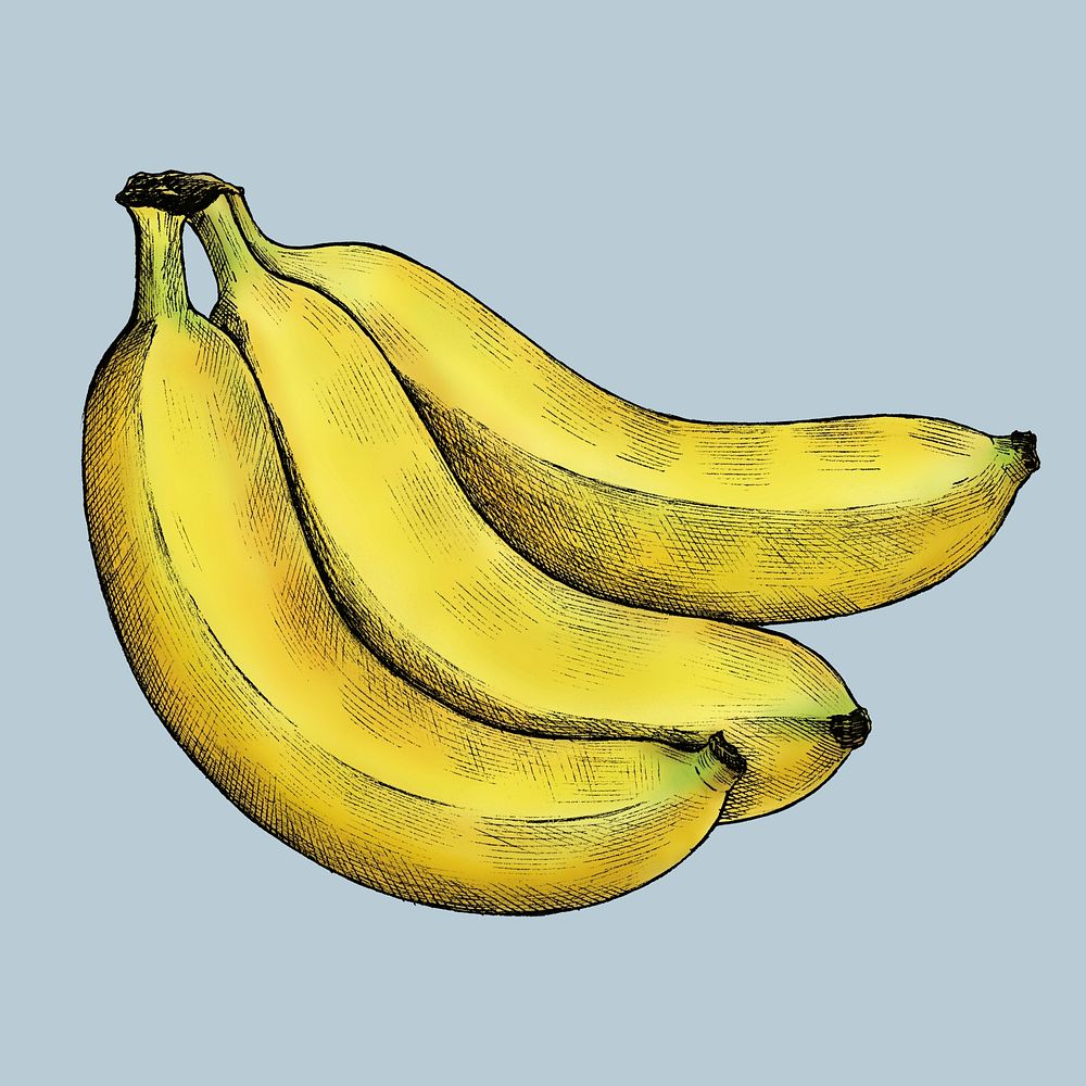 Ripe fresh banana on a blue background illustration