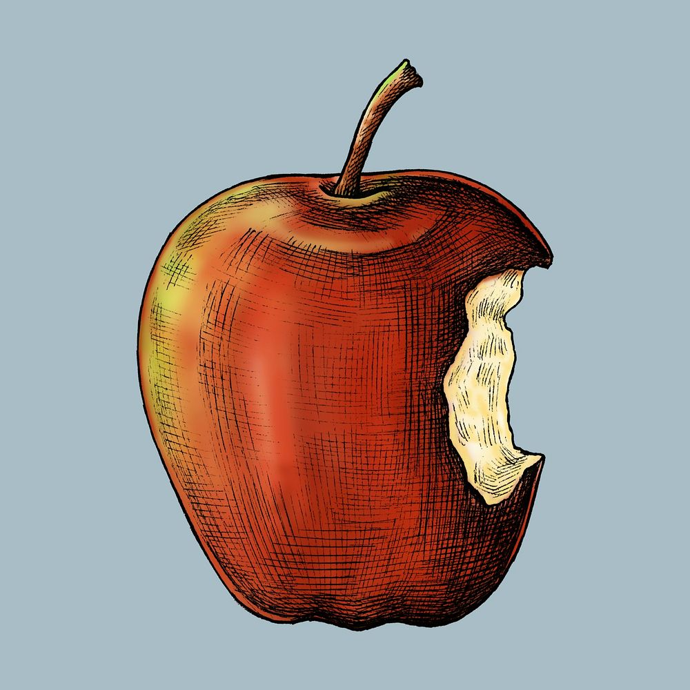 Red ripe bitten apple illustration