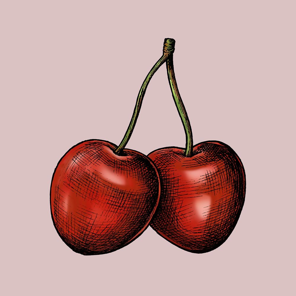 Red fresh cherries on pink background illustration
