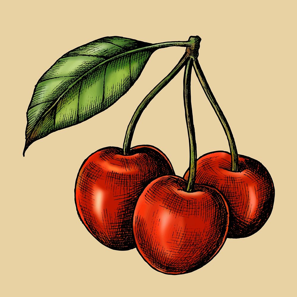 Red fresh cherries on beige background vector
