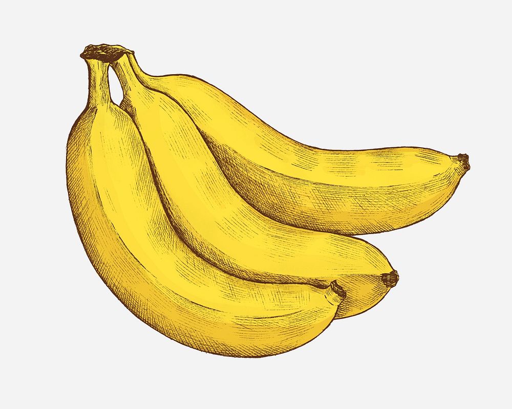 Ripe fresh banana on a white background