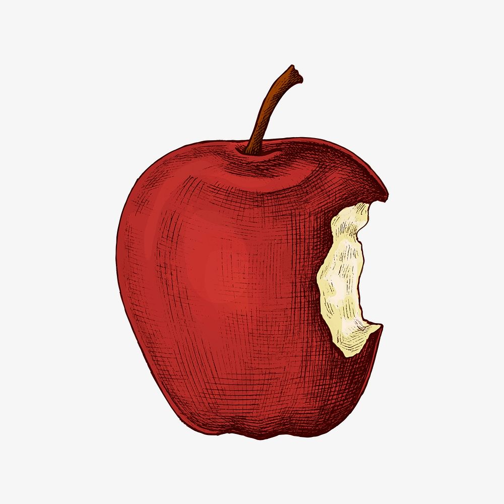 Red ripe bitten apple vector