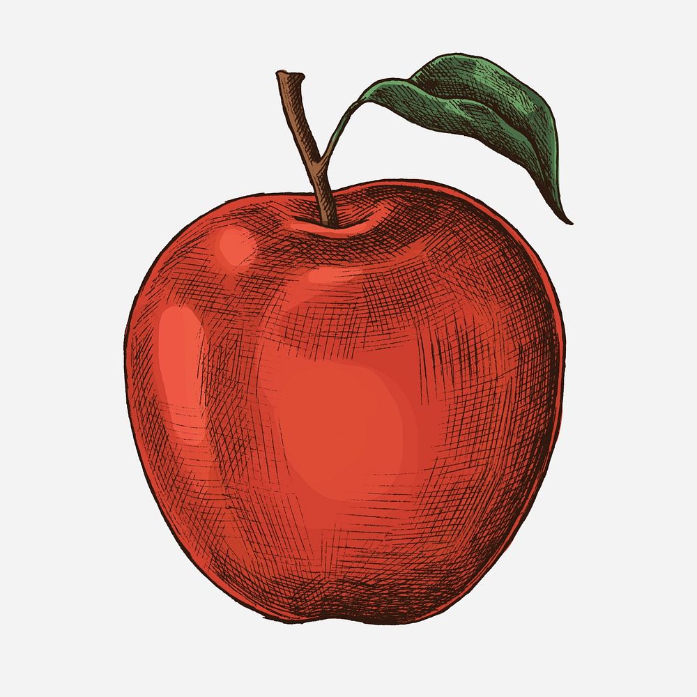 Fresh ripe red apple illustration