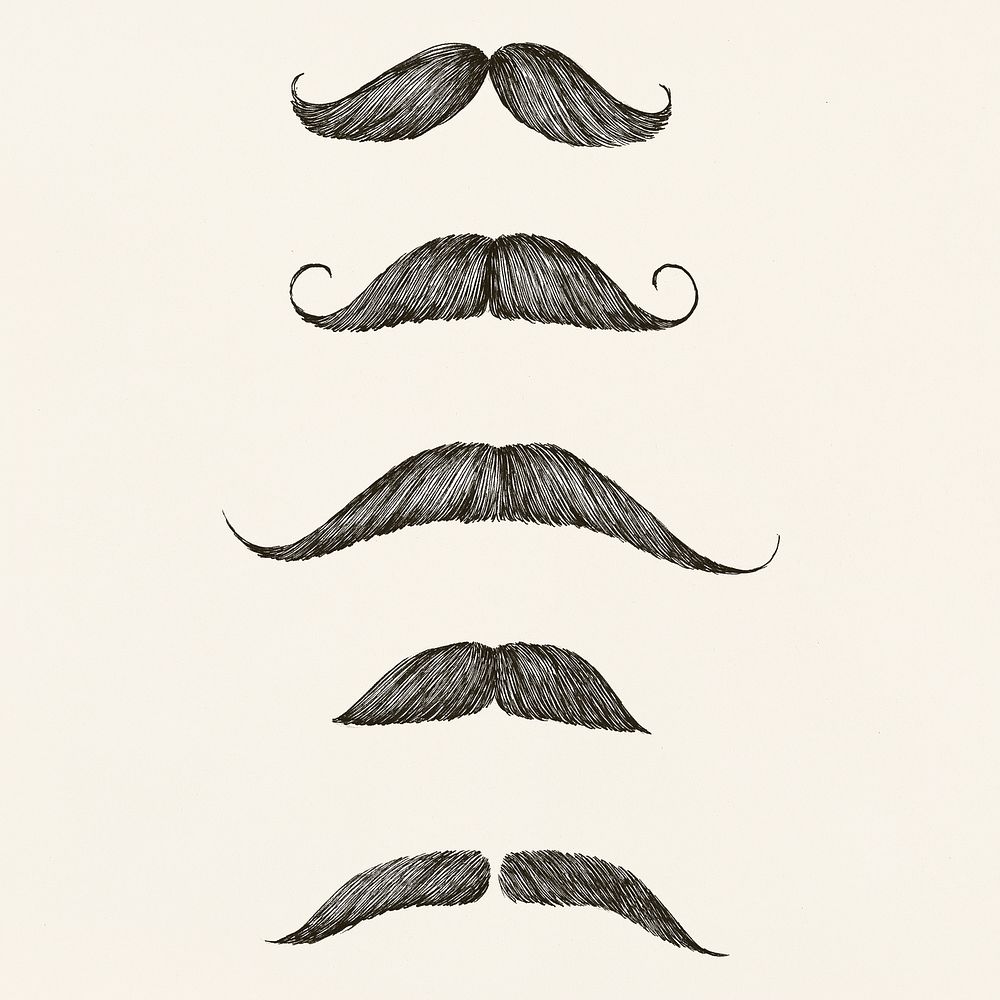 Types of mustache vintage style illustration