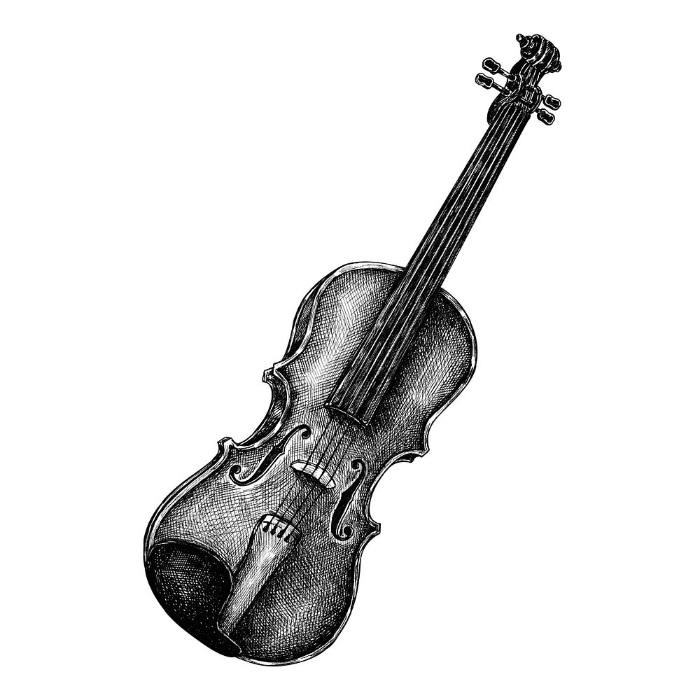 Hand drawn violin isolated on background