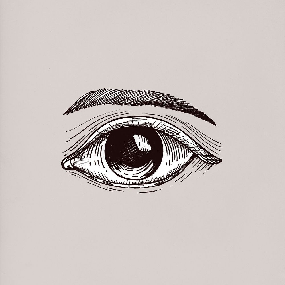 Hand drawn human eye