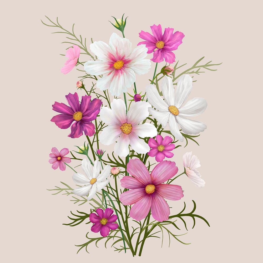 Beautiful daisy flowering plant illustration