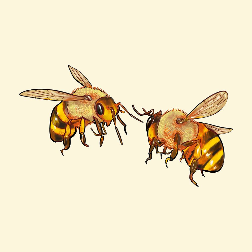 Hand drawn bee isolated on yellow background