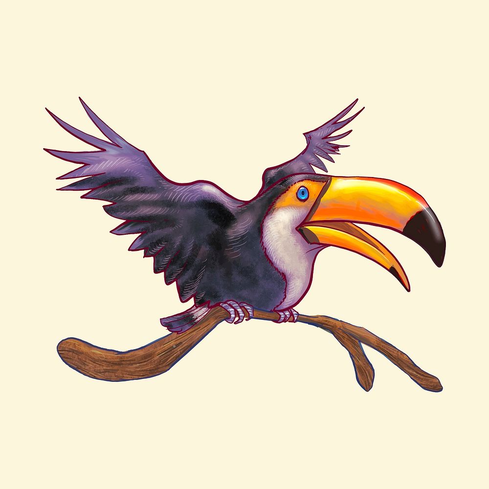 Hand dranw toucan bird isolated