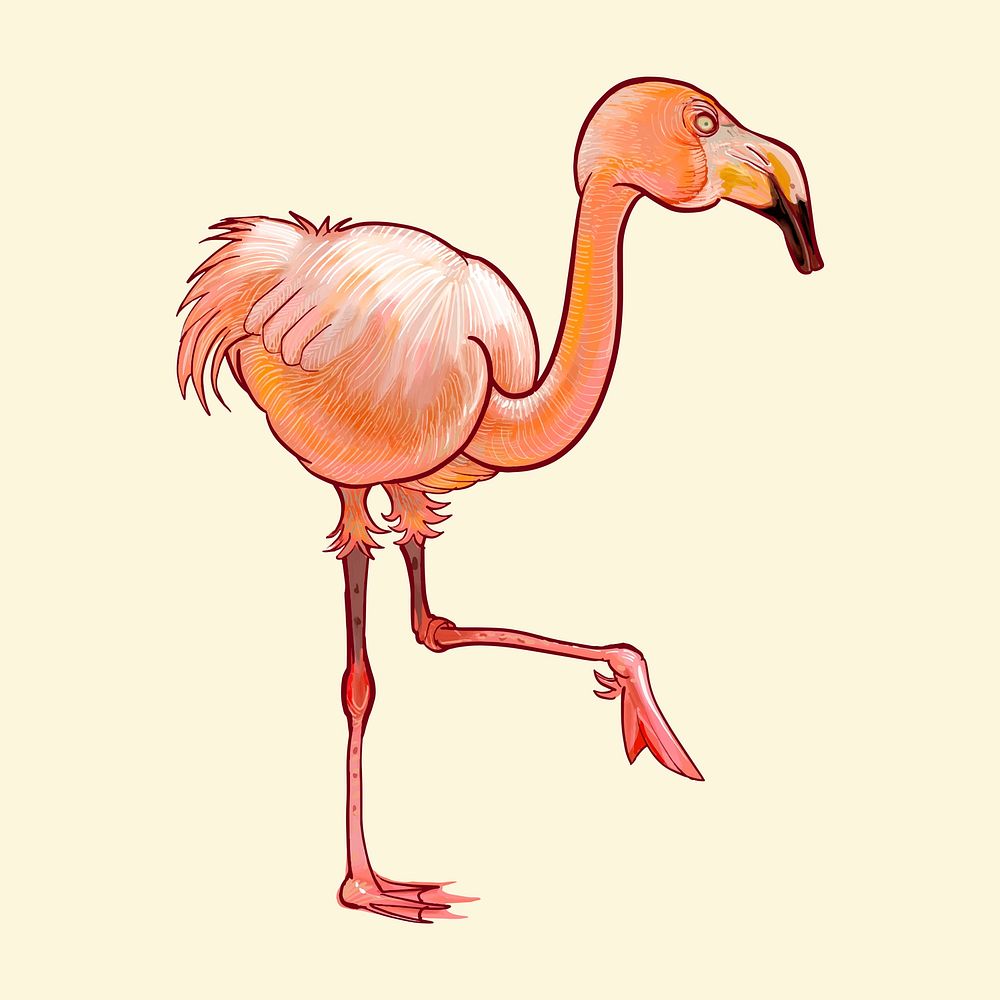 Hand drawn flamingo isolated on yellow background