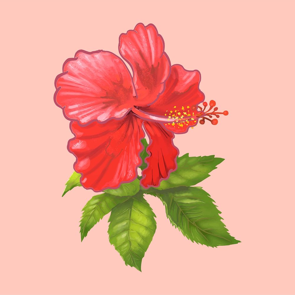 Illustration of a beautiful red flower