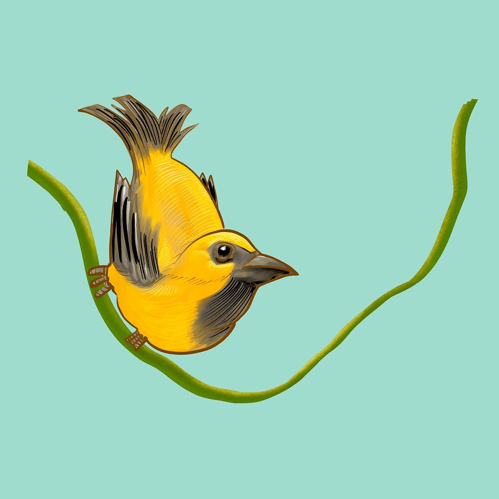 Drawing of a yellow bird