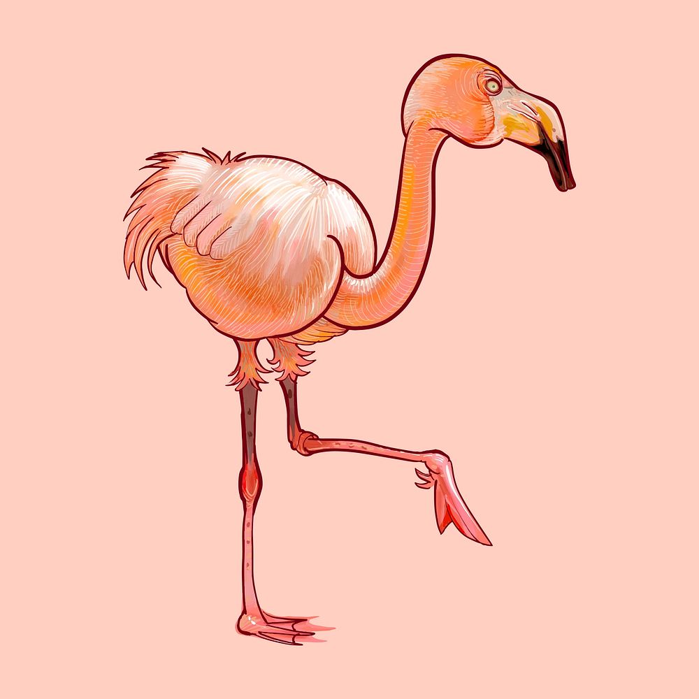 Illustration of a cute pink flamingo