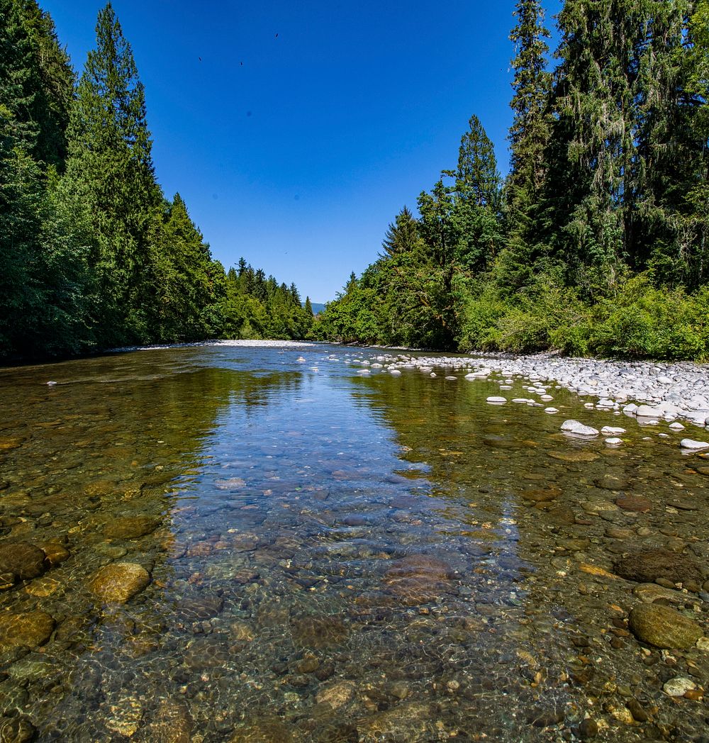 Before log jam installation in the South Fork Nooksack River.