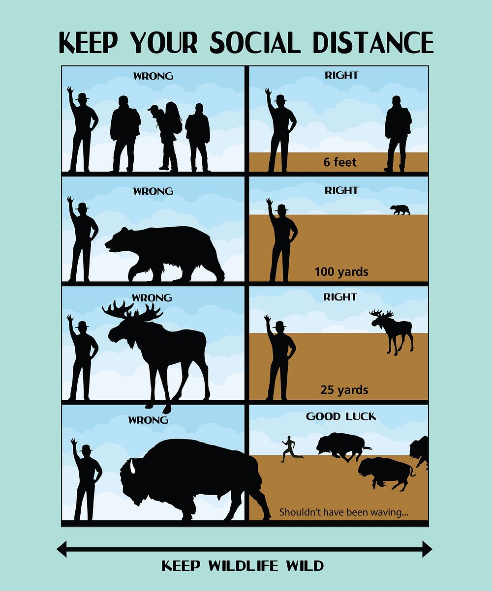 Social Distance Wildlife Safety Poster by Matt Turner. Original public domain image from Flickr