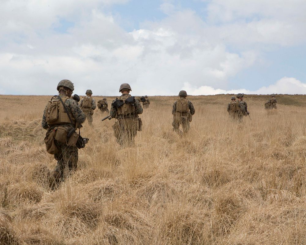 MERRIVATE RANGE, United Kingdom, April 14, 2021- U.S. Marines with Battalion Landing Team 1/8, 24th Marine Expeditionary…