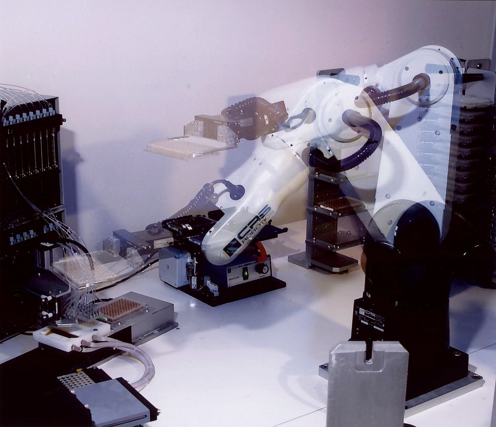 The robot made by CRS Inc. in action, places a DNA sample plate onto a plate washer for purification of the DNA, in the…