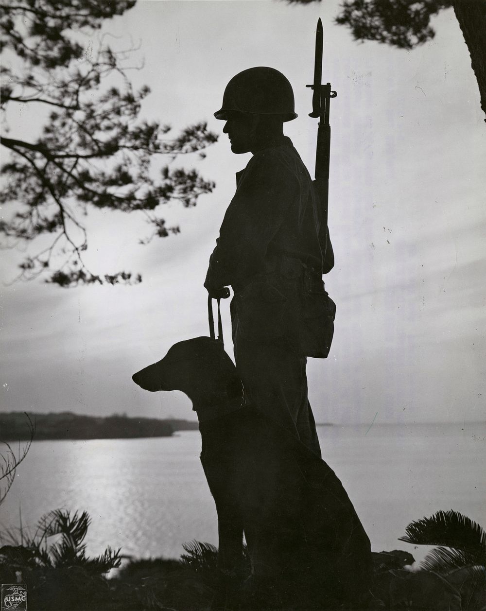 09-7928-28 Marines against the Sea - Marine sentries and War Dogs keep nightly vigils along the shores of Okinawa to guard…