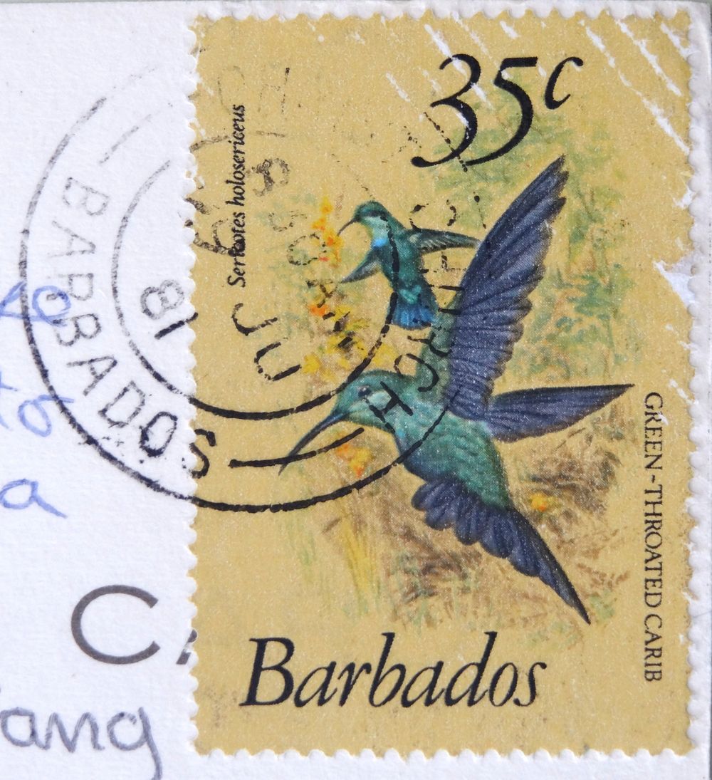 Antique postage stamp. Free public domain CC0 image.