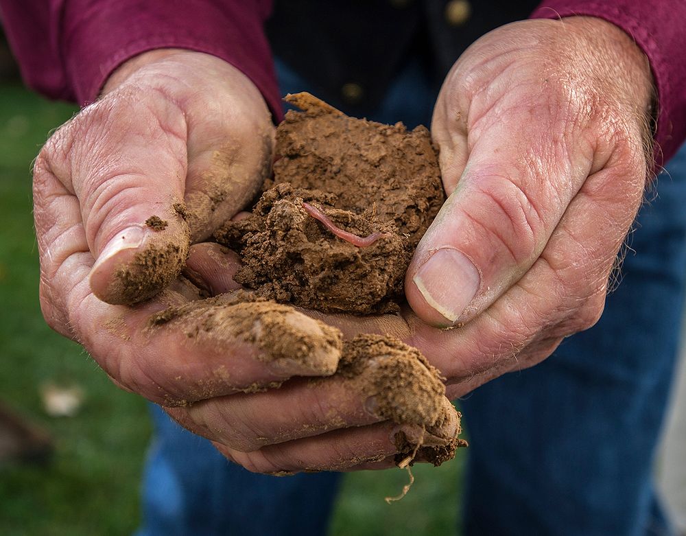 Oklahoma Conservation Commission Soil Scientist Greg Scott holds healthy soil that absorbed two inches of simulated…